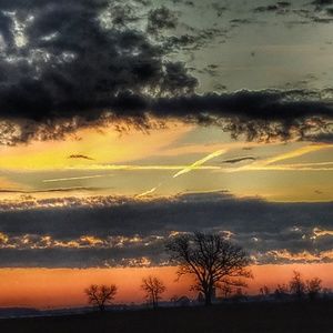 Meet your Posher, Ron